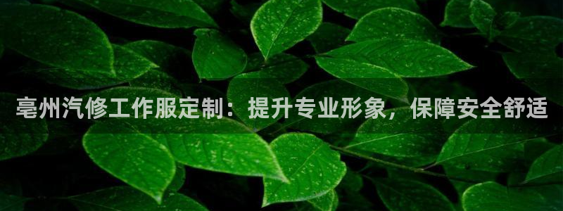 龙8国际|亳州汽修工作服定制：提升专业形象，保障安全舒适