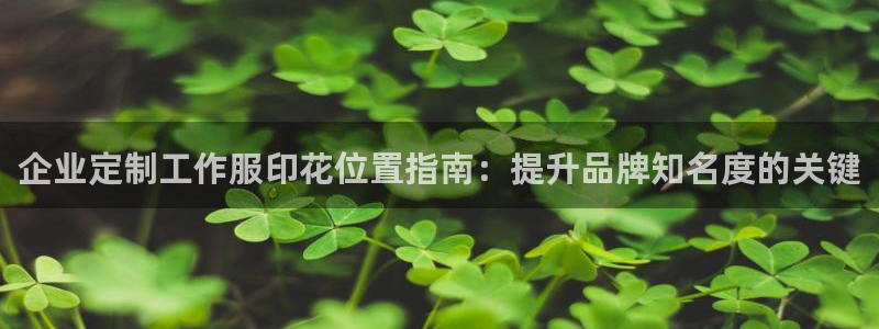 long8唯一中国官方网站|企业定制工作服印花位置指南：提升